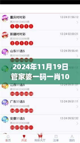 2024年11月19日管家婆一码一肖100%统计解答解析_GDJ7.24.90穿戴版