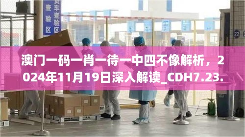 澳门一码一肖一待一中四不像解析，2024年11月19日深入解读_CDH7.23.95连续版