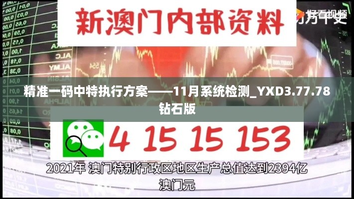 精准一码中特执行方案——11月系统检测_YXD3.77.78钻石版