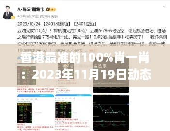 香港最准的100%肖一肖：2023年11月19日动态解析指南_PHZ1.77.23解密版