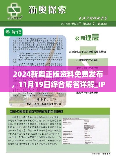 2024新奥正版资料免费发布，11月19日综合解答详解_IPF7.54.65独特版本