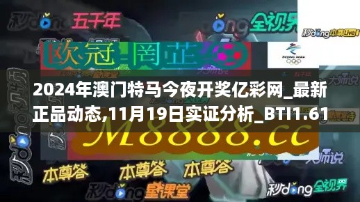 2024年澳门特马今夜开奖亿彩网_最新正品动态,11月19日实证分析_BTI1.61.60炼骨境