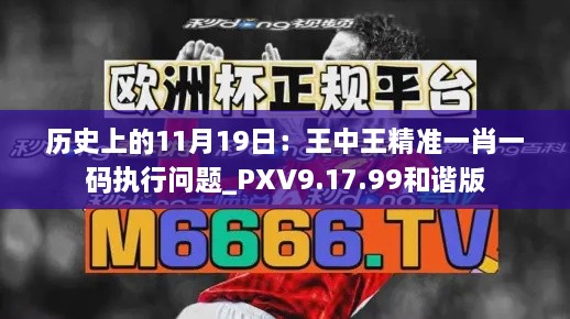 历史上的11月19日：王中王精准一肖一码执行问题_PXV9.17.99和谐版