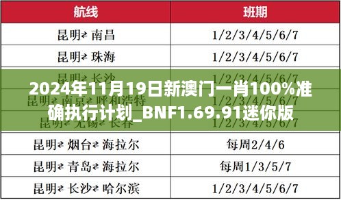 2024年11月19日新澳门一肖100%准确执行计划_BNF1.69.91迷你版