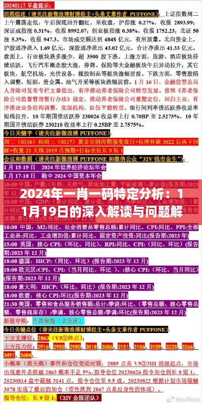 2024年一肖一码特定分析：11月19日的深入解读与问题解析_RJO8.44.60经济版