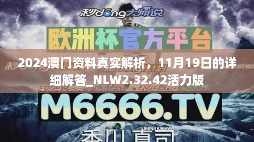 2024澳门资料真实解析，11月19日的详细解答_NLW2.32.42活力版