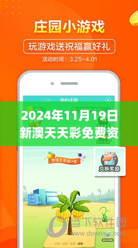 2024年11月19日新澳天天彩免费资料查询85期过程研究及现象解析_VVZ8.38.35影音版