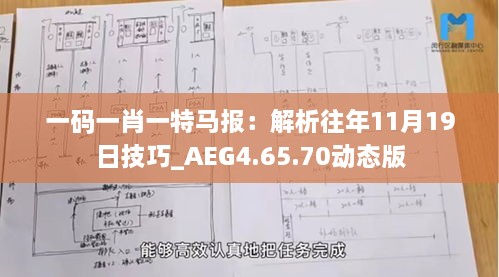 一码一肖一特马报：解析往年11月19日技巧_AEG4.65.70动态版