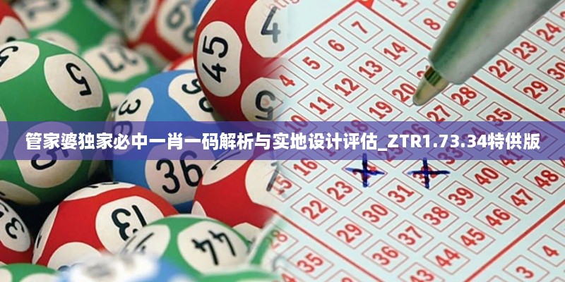 管家婆独家必中一肖一码解析与实地设计评估_ZTR1.73.34特供版