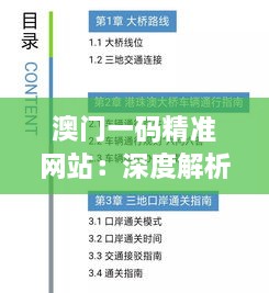 澳门一码精准网站：深度解析历史上的11月19日 - 定量分析ATT2.21.83职业版