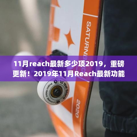 重磅更新！2019年11月Reach最新功能汇总及更新数量揭晓