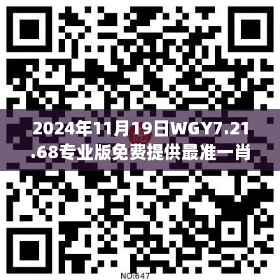 2024年11月19日WGY7.21.68专业版免费提供最准一肖一码解答与落实