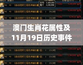 澳门生肖花属性及11月19日历史事件的高效管理策略_LCX7.15.61版