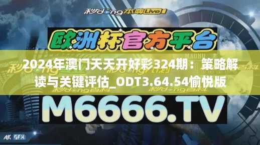 2024年澳门天天开好彩324期：策略解读与关键评估_ODT3.64.54愉悦版