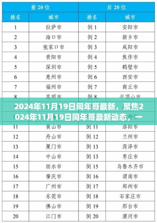 聚焦最新动态，同年哥深度探讨某某观点于2024年11月19日揭晓