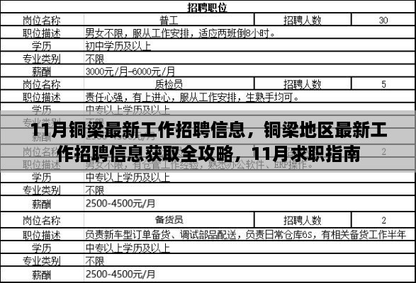 铜梁地区最新招聘全攻略，求职指南与招聘信息获取指南（11月版）