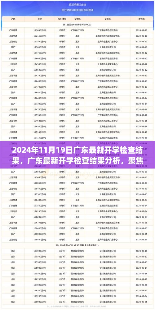 广东最新开学检查结果分析与观察思考，聚焦2024年11月19日报告