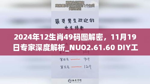 2024年12生肖49码图解密，11月19日专家深度解析_NUO2.61.60 DIY工具版