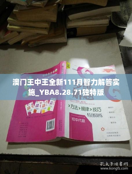 澳门王中王全新111月智力解答实施_YBA8.28.71独特版