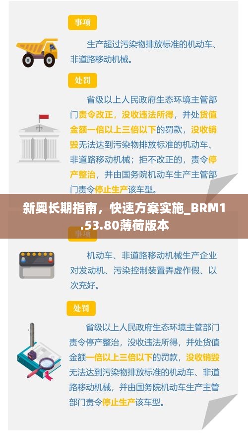 新奥长期指南，快速方案实施_BRM1.53.80薄荷版本