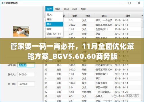 管家婆一码一肖必开，11月全面优化策略方案_BGV5.60.60商务版