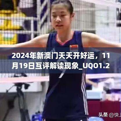 2024年新澳门天天开好运，11月19日互评解读现象_UQO1.22.59无限版