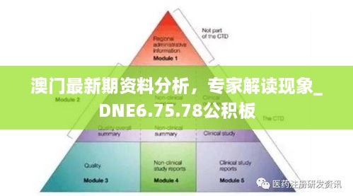 澳门最新期资料分析，专家解读现象_DNE6.75.78公积板