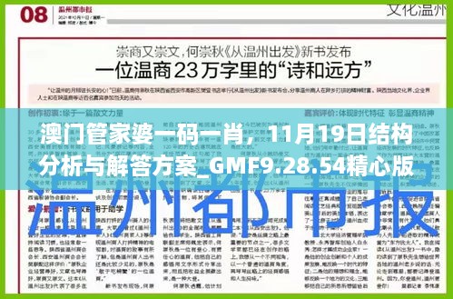 澳门管家婆一码一肖，11月19日结构分析与解答方案_GMF9.28.54精心版