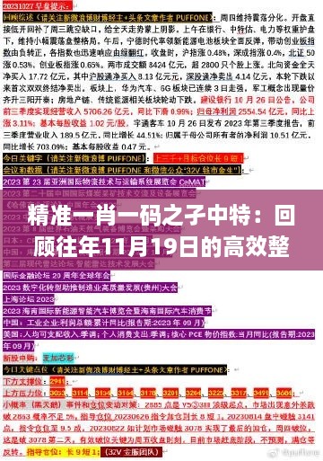 精准一肖一码之孑中特：回顾往年11月19日的高效整合方案执行_GBF6.64.24神念境