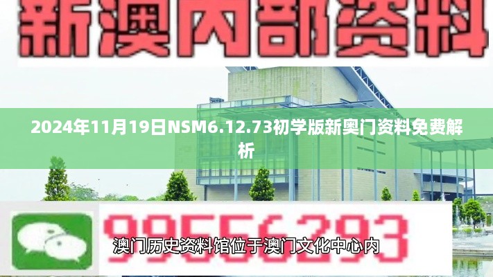 2024年11月19日NSM6.12.73初学版新奥门资料免费解析