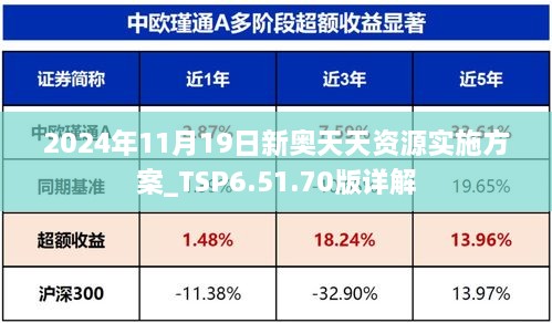 2024年11月19日新奥天天资源实施方案_TSP6.51.70版详解