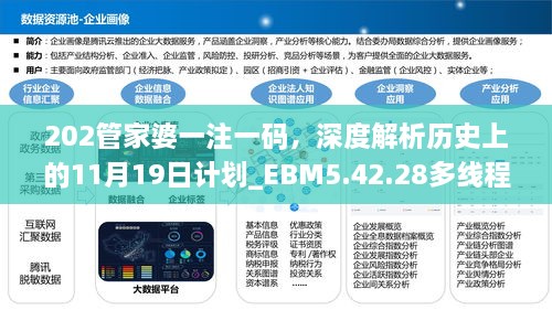 202管家婆一注一码，深度解析历史上的11月19日计划_EBM5.42.28多线程版本