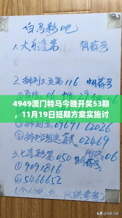 4949澳门特马今晚开奖53期，11月19日短期方案实施讨论_POP4.23.65桌面版