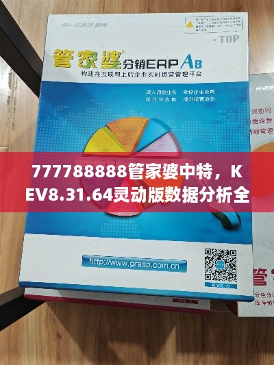 777788888管家婆中特，KEV8.31.64灵动版数据分析全景实施