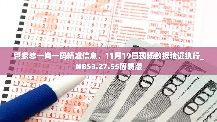 管家婆一肖一码精准信息，11月19日现场数据验证执行_NBS3.27.55简易版