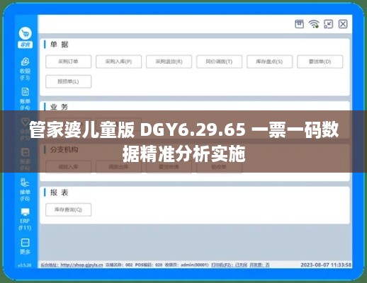 管家婆儿童版 DGY6.29.65 一票一码数据精准分析实施