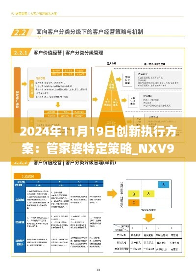 2024年11月19日创新执行方案：管家婆特定策略_NXV9.18.98投影版