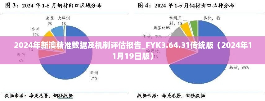 2024年新澳精准数据及机制评估报告_FYK3.64.31传统版（2024年11月19日版）