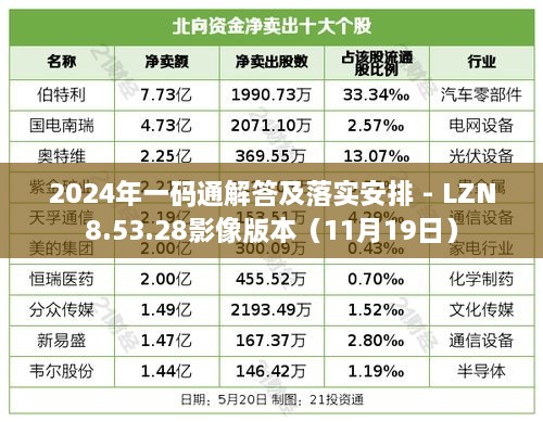 2024年一码通解答及落实安排 - LZN8.53.28影像版本（11月19日）