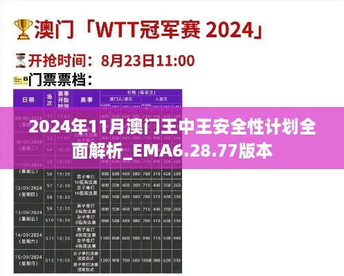 2024年11月澳门王中王安全性计划全面解析_EMA6.28.77版本