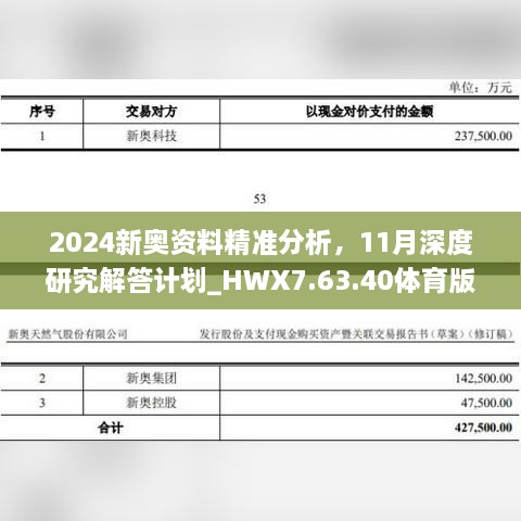 2024新奥资料精准分析，11月深度研究解答计划_HWX7.63.40体育版