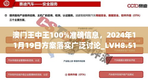 澳门王中王100%准确信息，2024年11月19日方案落实广泛讨论_LVH8.51.88运动版