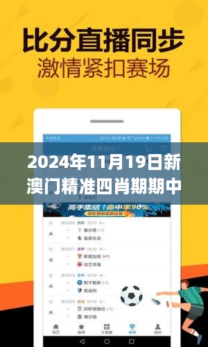 2024年11月19日新澳门精准四肖期期中特实施策略设计_HPJ7.32.87优化版