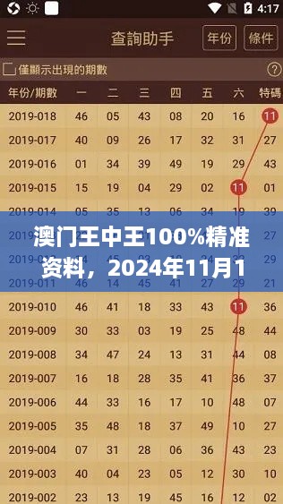 澳门王中王100%精准资料，2024年11月19日可视化管理方案_RNM1.66.77私密版