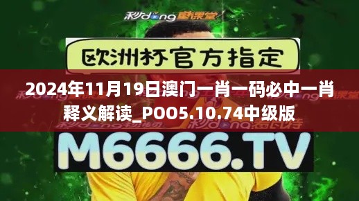 2024年11月19日澳门一肖一码必中一肖释义解读_POO5.10.74中级版