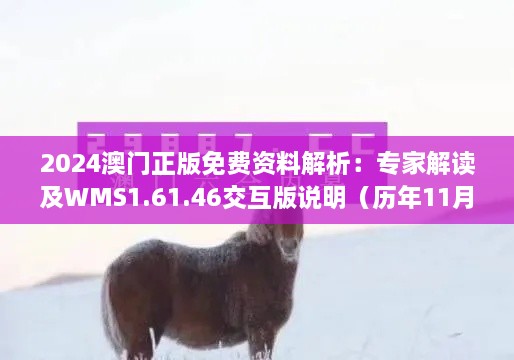 2024澳门正版免费资料解析：专家解读及WMS1.61.46交互版说明（历年11月19日）