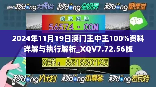 2024年11月19日澳门王中王100%资料详解与执行解析_XQV7.72.56版