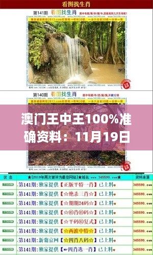 澳门王中王100%准确资料：11月19日往年整体执行解析_ZHC3.32.74先锋版