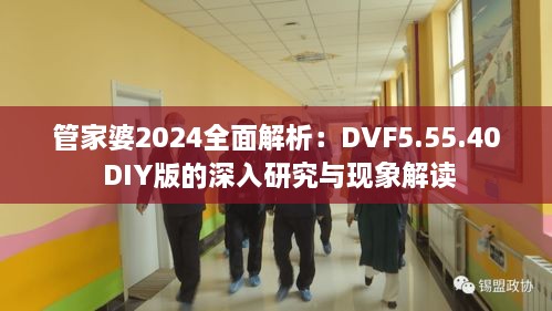 管家婆2024全面解析：DVF5.55.40 DIY版的深入研究与现象解读