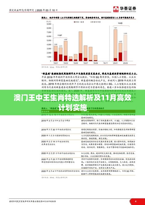 澳门王中王生肖特选解析及11月高效计划实施